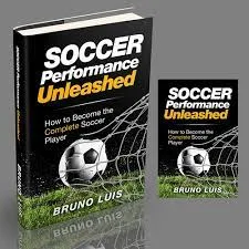 Book Illustrations — Book Cover 1