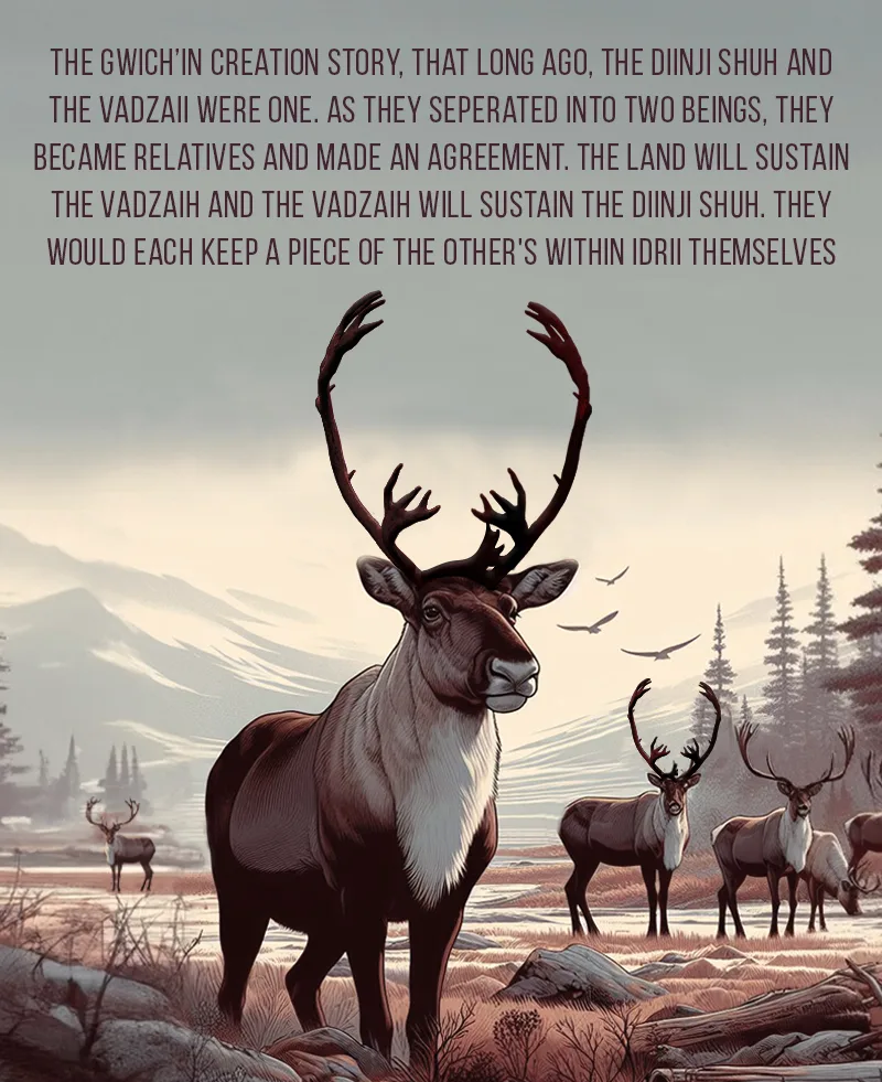 Character Illustrations — Animal Illustrations 10
