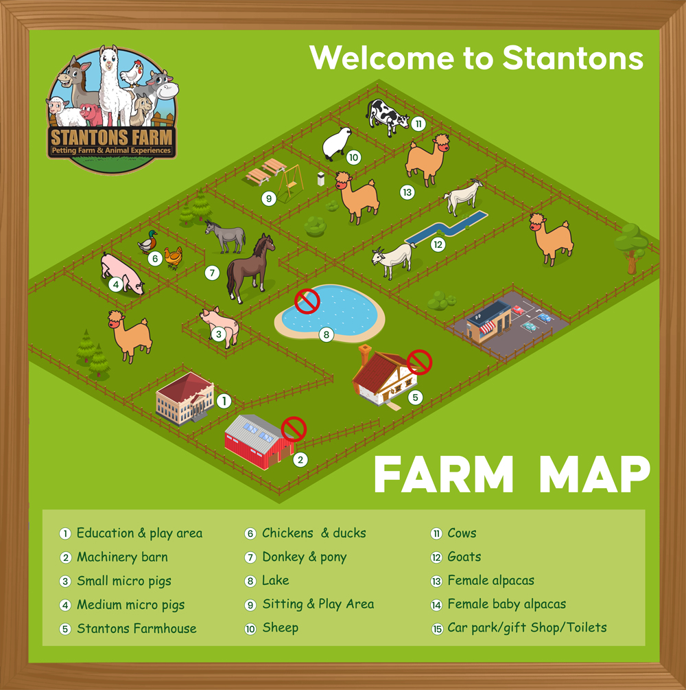 Illustrations — Map Illustration 8