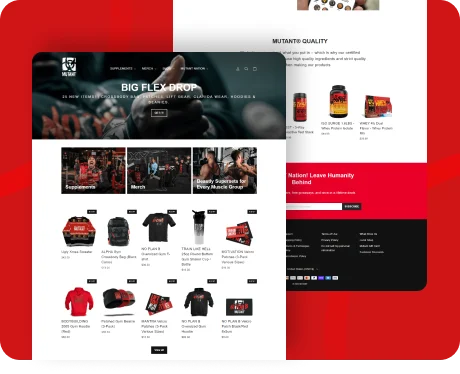 Website — Shopify thumb5