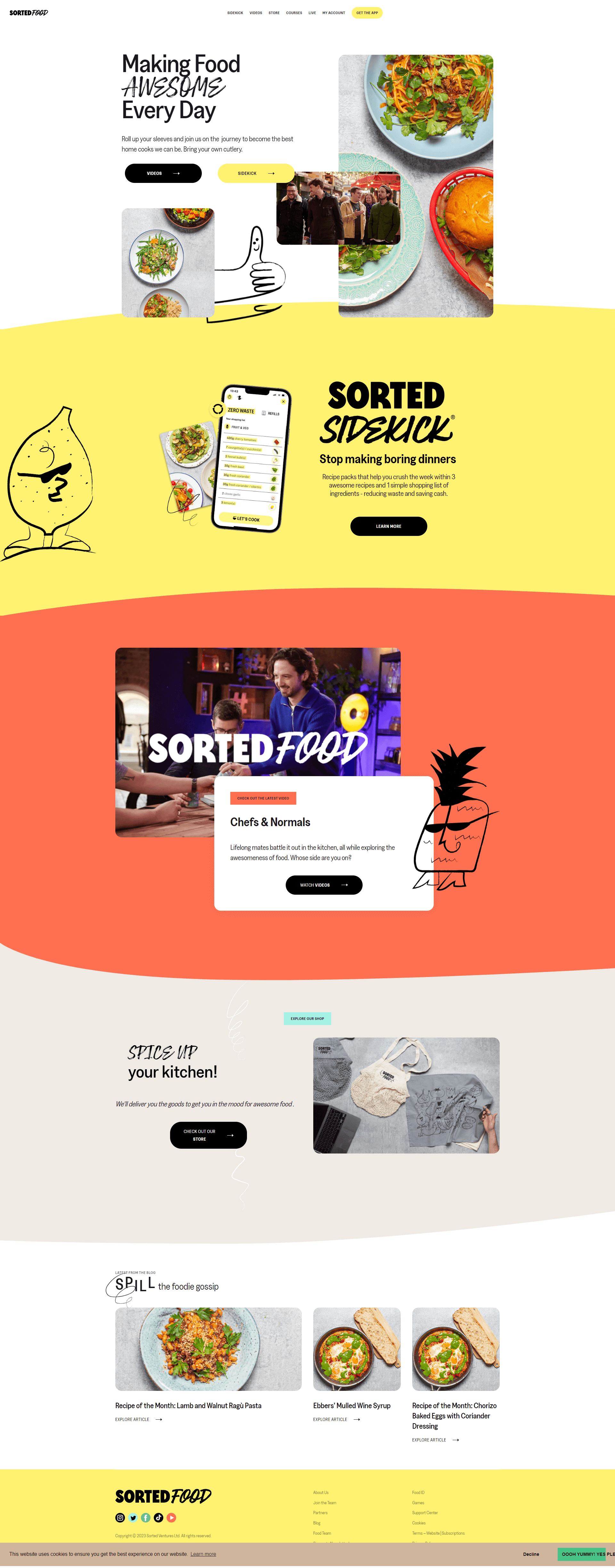 Website — Wordpress 2