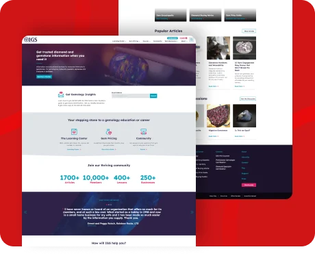 Website — Wordpress thumb10
